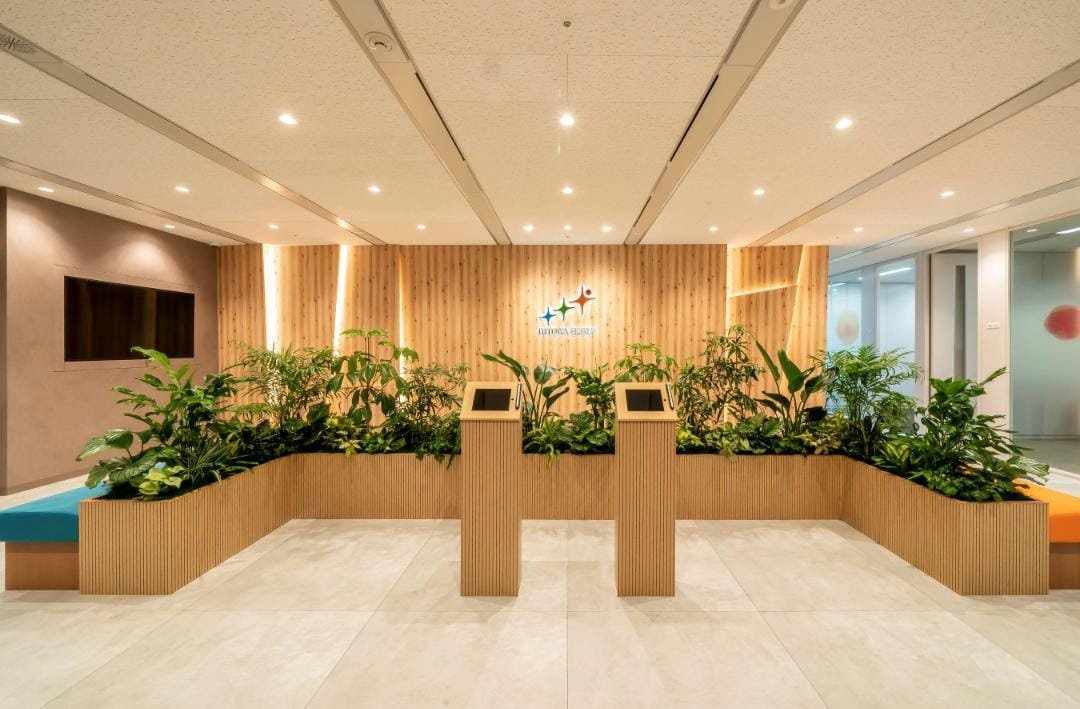 Indoor plant solutions for offices